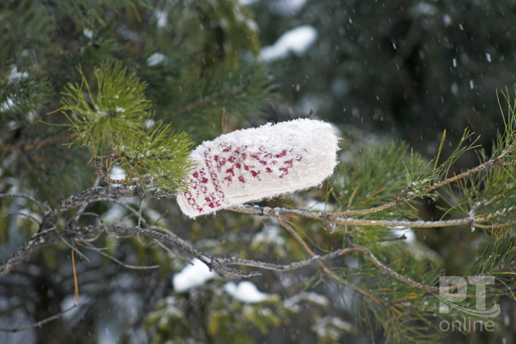 Погода_снег_варежка_A8G4473