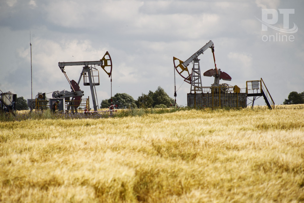 Нефтяные качалки_A8G2974