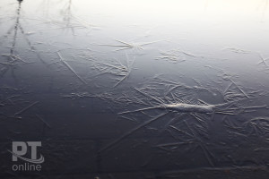 Погода_заморозки на луже_A8G0697