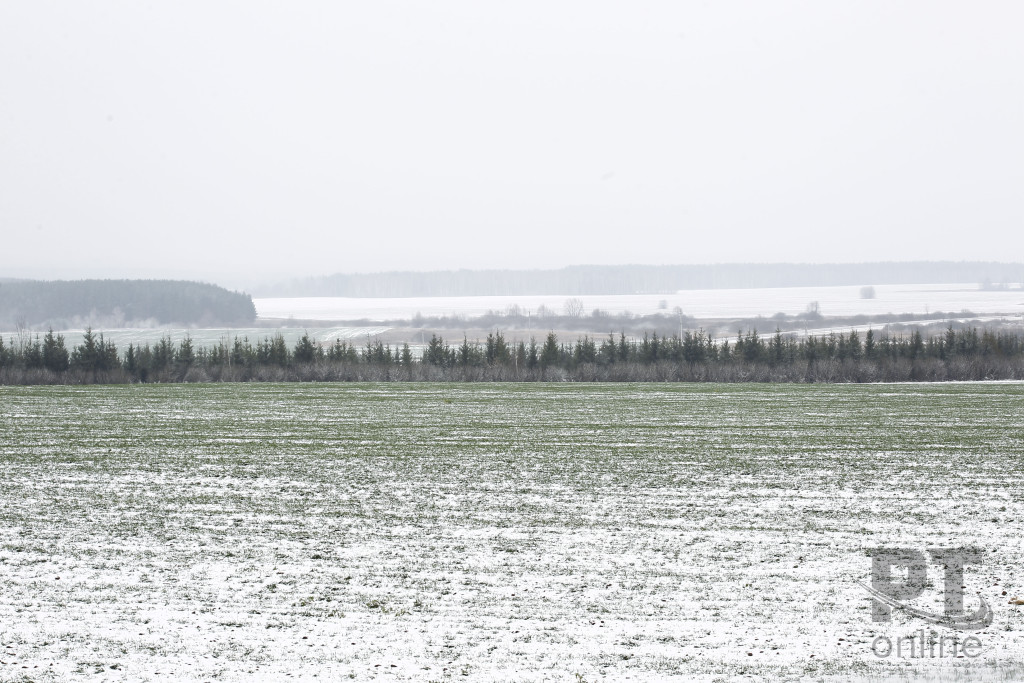 Погода_первый снег на полях_A8G2898