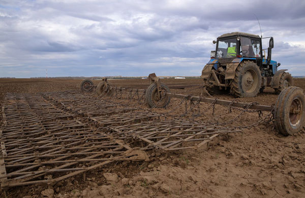 полевые-работы