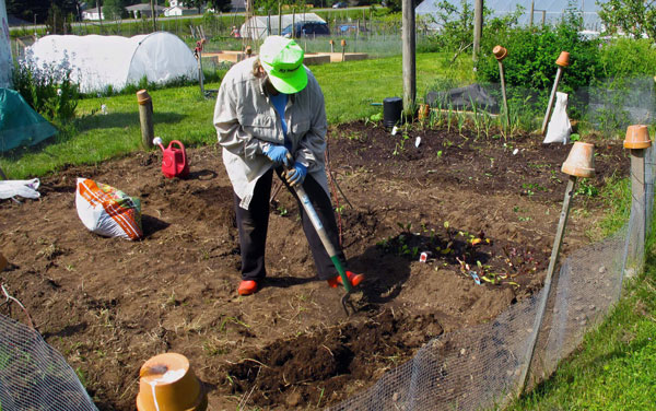 известкование