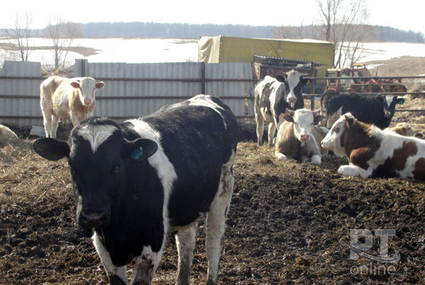 сельское-хозяйство