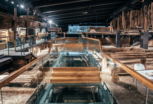 Музей-дерева1