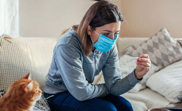 домашние-животные