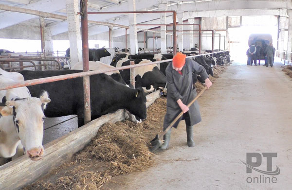 камско-устьинский-1