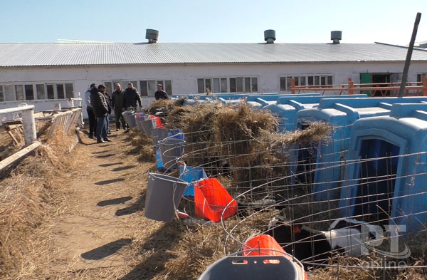 камско-устьинский-2