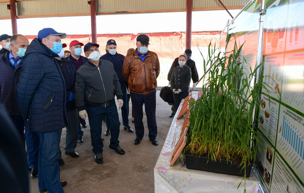 минниханов-в-новошешминском-районе