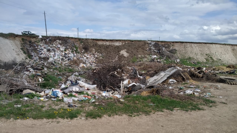 свалка7