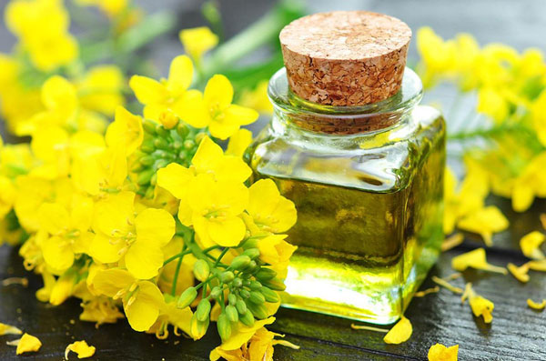 Рапсовое-масло