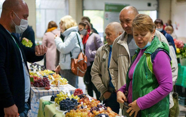 Межрегиональный-форум-виноградарей