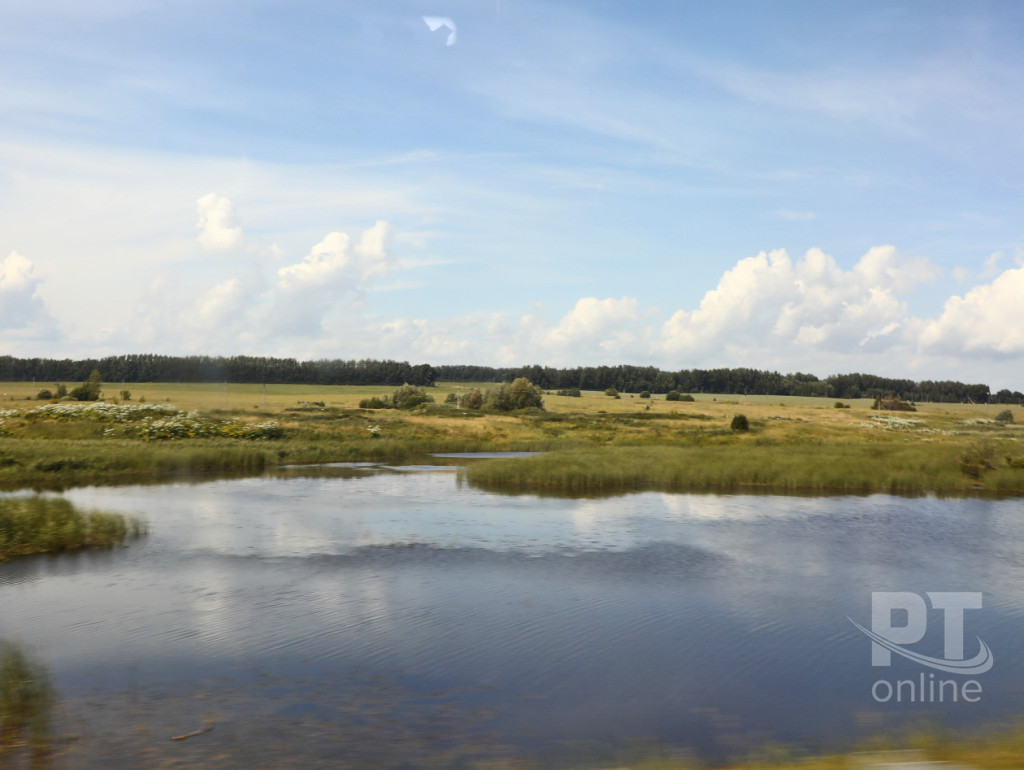 Речка_поле_солнечно_MM4A7217