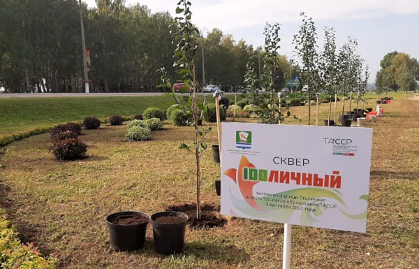 сквер-столичный