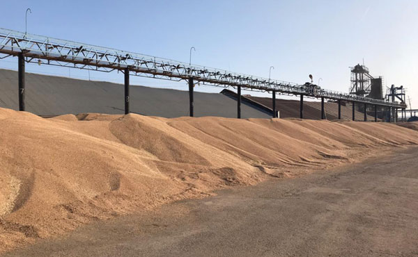 кукморский-элеватор