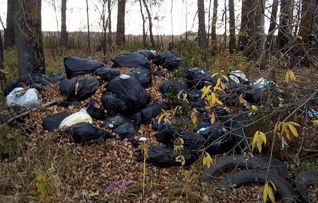 свалка-в-лесу