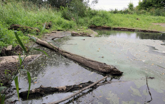 загрязнение-реки