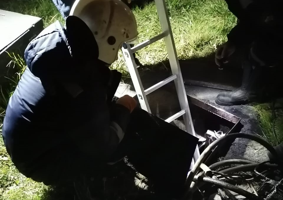 WhatsApp Image 2020-11-05 at 12.19.44