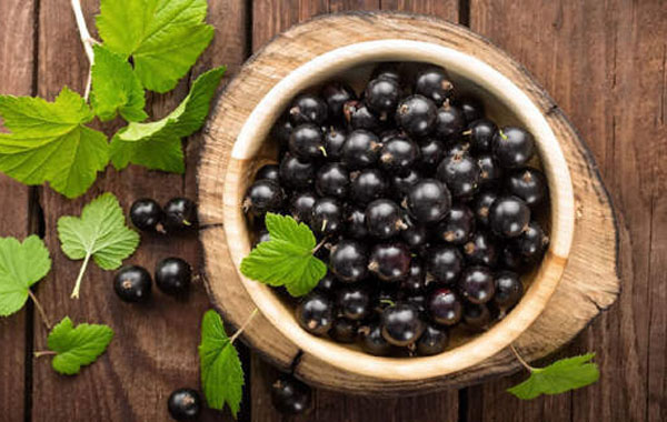 черная-смородина