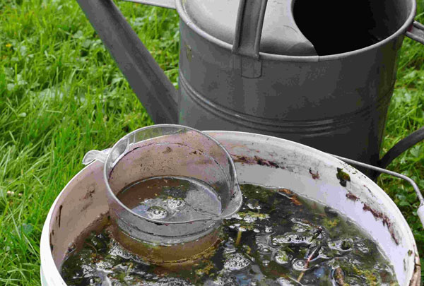 крапивный-настой