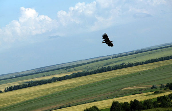 полет-над-россией
