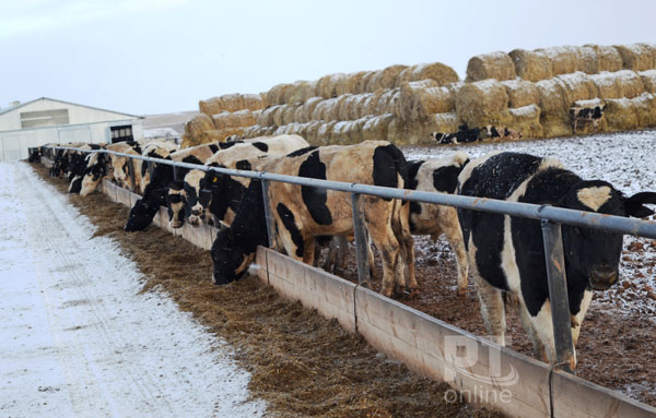 Игенче-ферма