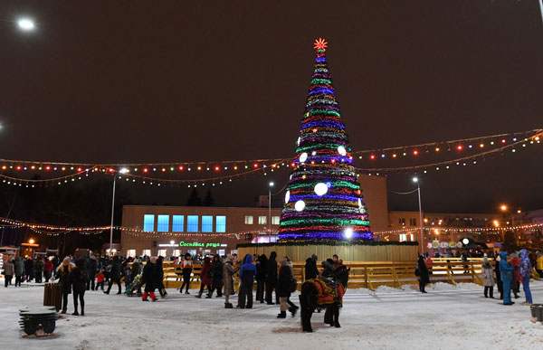 елка-в-сосновой-роще