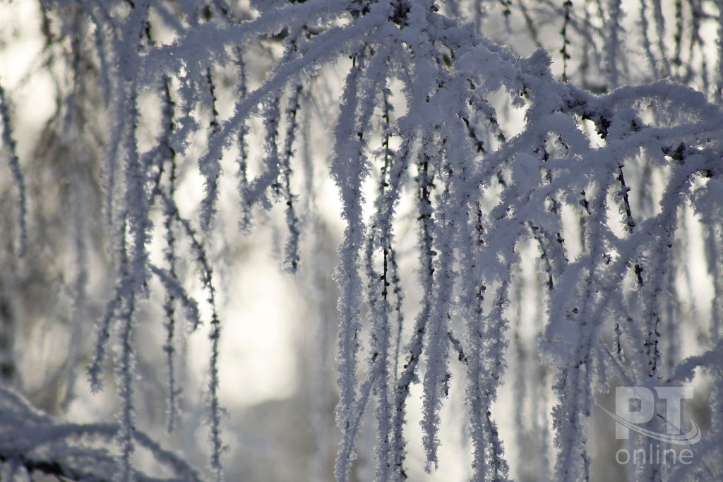 Синий иней_A8G3948