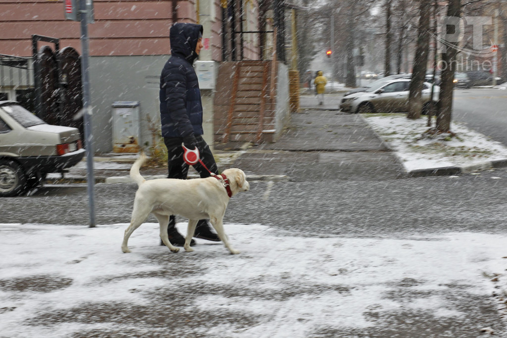 Гуляет с собакой_A8G2387