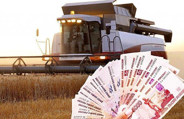 агростартап