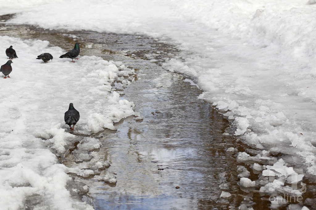 Ручеек_A8G6155