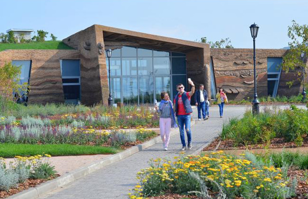 музей-дерева