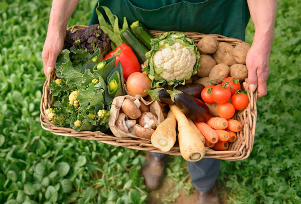 заниматься-органическим-земледелием