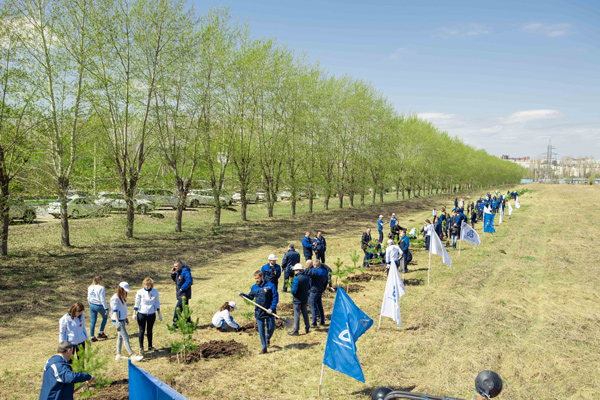 Посадка-деревьев2