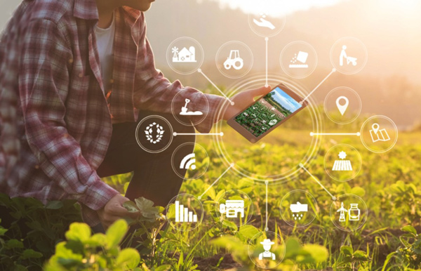 анализ-почвы