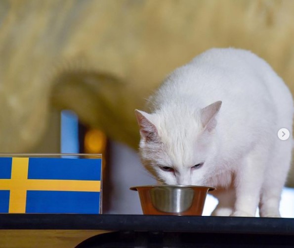 Снимок экрана 2021-06-23 130014