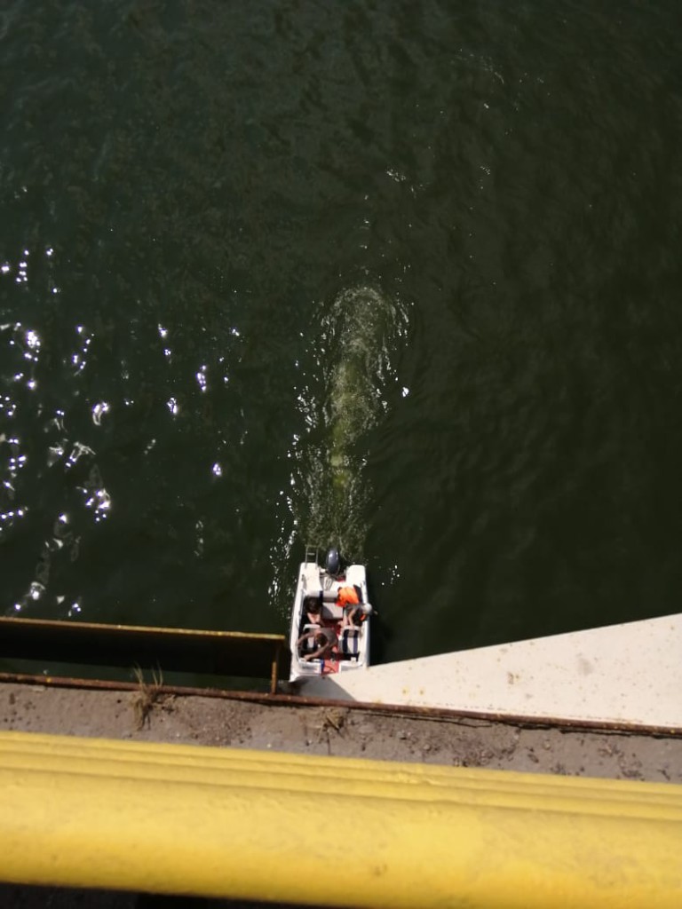 WhatsApp Image 2021-06-23 at 14.44.08