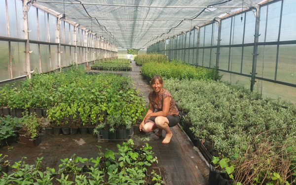 органическое-земледелие