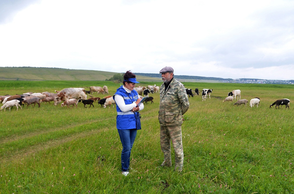 сельхозперепись