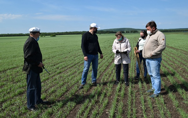 сельхозземли