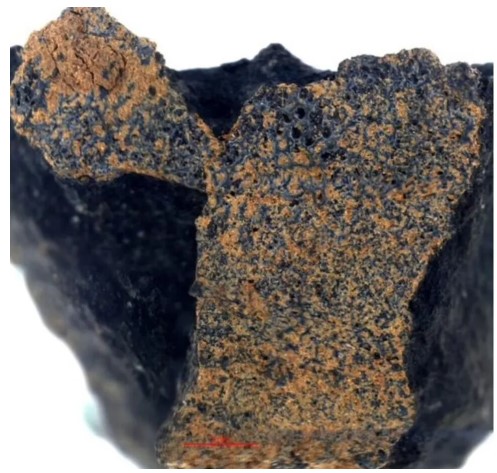 Снимок экрана 2021-07-21 124217