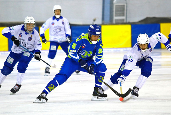 хоккей-с-мячом