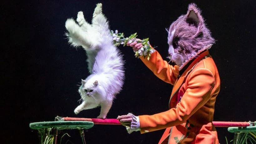 Дети, это йети: какие новогодние представления приготовили детворе в Казани