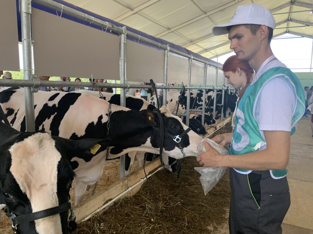 Закадрить доярку, завлечь агронома: как удержать молодежь в селах Татарстана