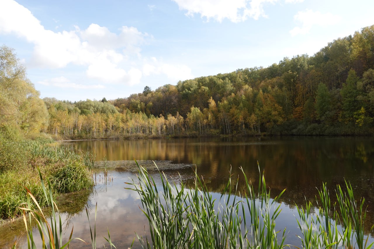 Пьяный заплыв на озере Комсомольское едва не закончился трагедией