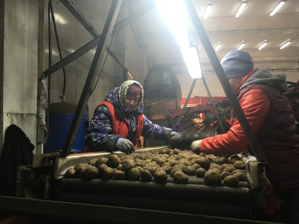 Закадрить доярку, завлечь агронома: как удержать молодежь в селах Татарстана