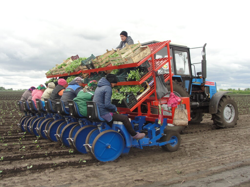 Закадрить доярку, завлечь агронома: как удержать молодежь в селах Татарстана