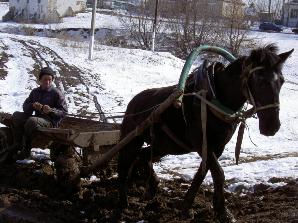 Закадрить доярку, завлечь агронома: как удержать молодежь в селах Татарстана