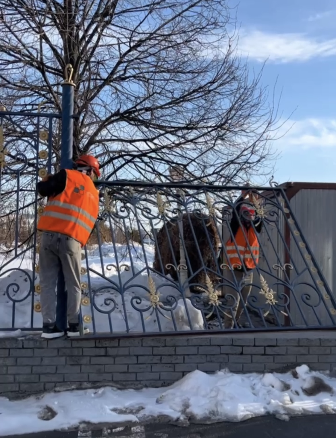 В парке Тысячелетия начали спиливать ограждения