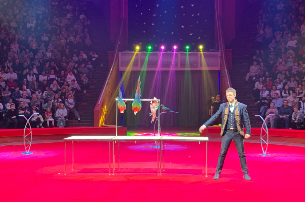 В Казани прошла премьера программы «Цирк из сапога»