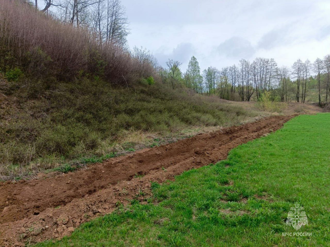 За этот год в РТ произошел 101 случай горения травы и мусора